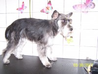 /album/fotogaleria/po-trimovani-jpg/